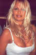 pamela185.jpg (50963 bytes)